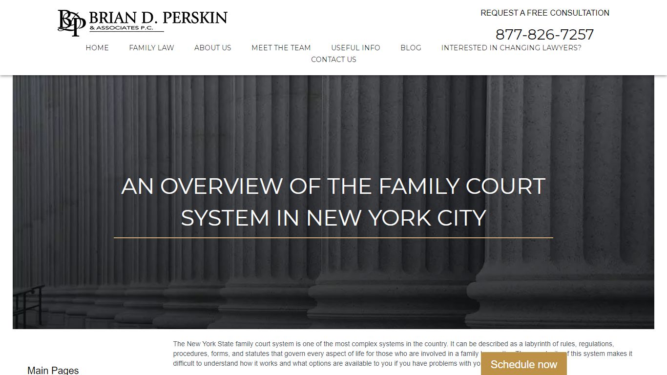 An Overview of the Family Court System in New York City - Brian D ...